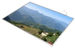 Màn hình 14.1 Wide WXGA